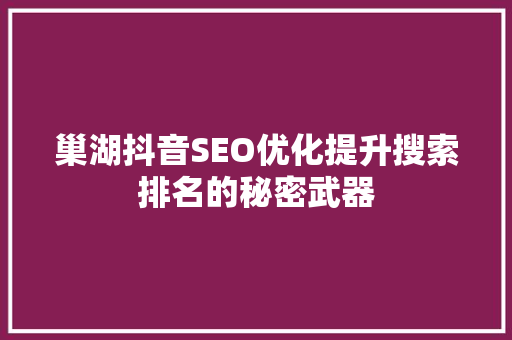 巢湖抖音SEO优化提升搜索排名的秘密武器