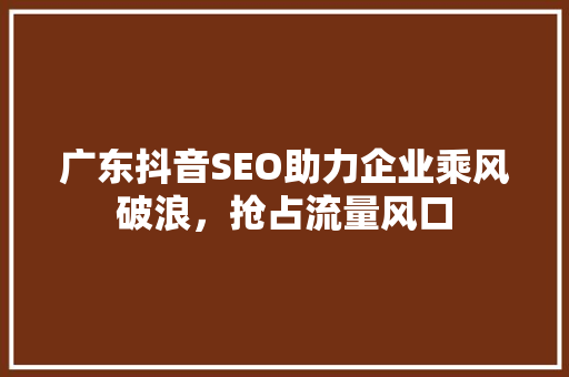 广东抖音SEO助力企业乘风破浪，抢占流量风口
