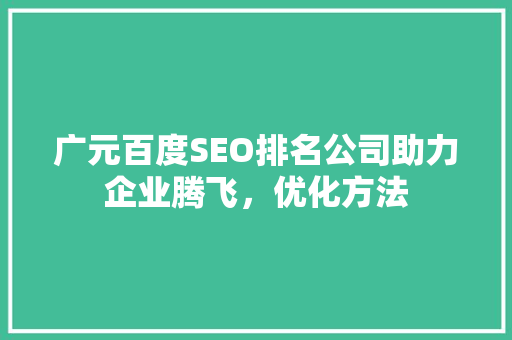 广元百度SEO排名公司助力企业腾飞，优化方法