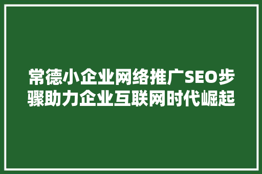 常德小企业网络推广SEO步骤助力企业互联网时代崛起