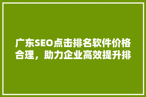 广东SEO点击排名软件价格合理，助力企业高效提升排名