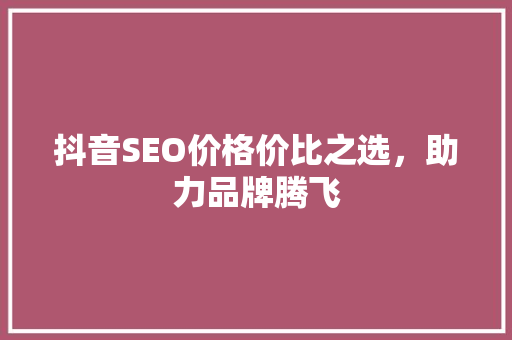 抖音SEO价格价比之选，助力品牌腾飞