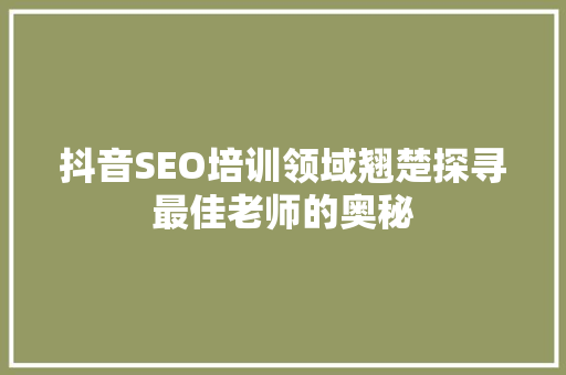 抖音SEO培训领域翘楚探寻最佳老师的奥秘