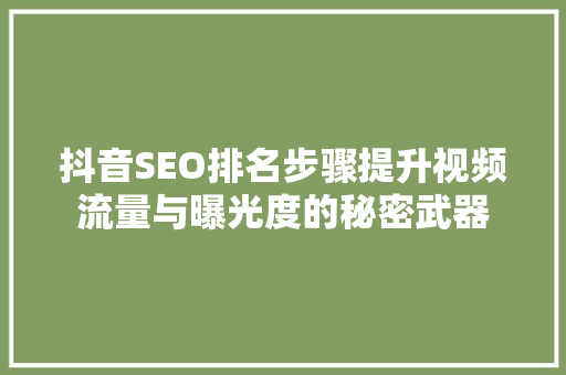 抖音SEO排名步骤提升视频流量与曝光度的秘密武器