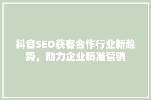 抖音SEO获客合作行业新趋势，助力企业精准营销
