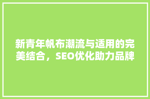 新青年帆布潮流与适用的完美结合，SEO优化助力品牌崛起
