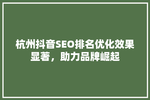 杭州抖音SEO排名优化效果显著，助力品牌崛起
