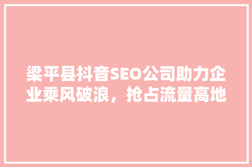 梁平县抖音SEO公司助力企业乘风破浪，抢占流量高地
