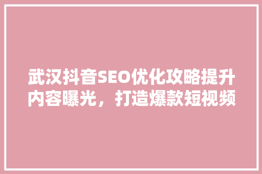 武汉抖音SEO优化攻略提升内容曝光，打造爆款短视频
