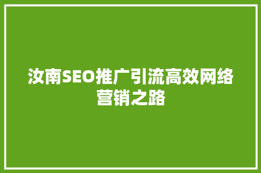 汝南SEO推广引流高效网络营销之路