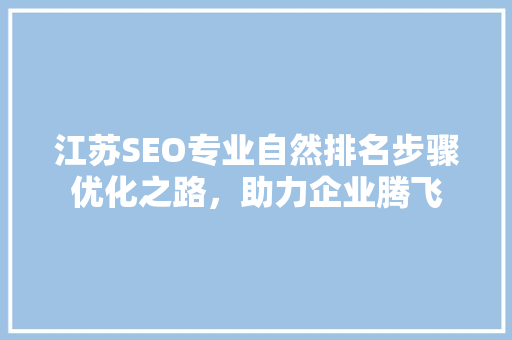 江苏SEO专业自然排名步骤优化之路，助力企业腾飞