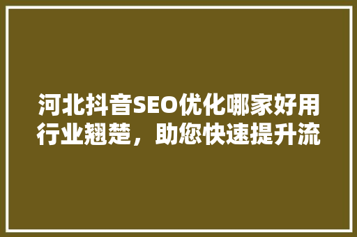河北抖音SEO优化哪家好用行业翘楚，助您快速提升流量