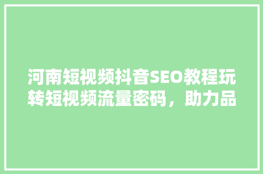 河南短视频抖音SEO教程玩转短视频流量密码，助力品牌崛起