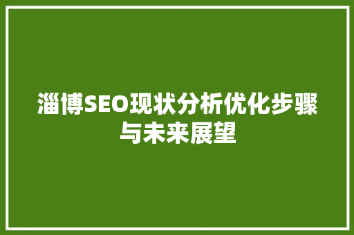 淄博SEO现状分析优化步骤与未来展望