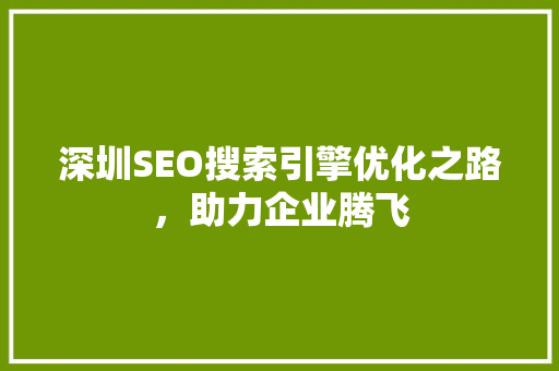 深圳SEO搜索引擎优化之路，助力企业腾飞