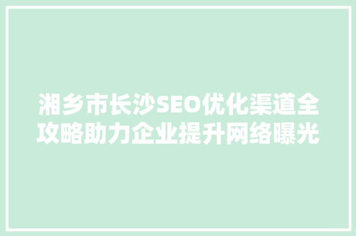 湘乡市长沙SEO优化渠道全攻略助力企业提升网络曝光度