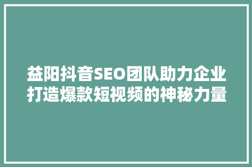 益阳抖音SEO团队助力企业打造爆款短视频的神秘力量