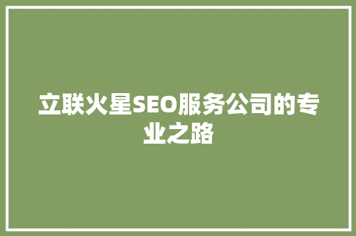立联火星SEO服务公司的专业之路
