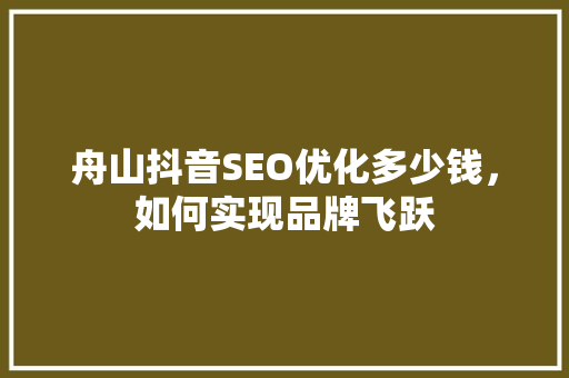 舟山抖音SEO优化多少钱，如何实现品牌飞跃