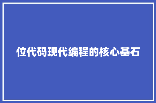 位代码现代编程的核心基石  第1张