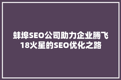 蚌埠SEO公司助力企业腾飞18火星的SEO优化之路