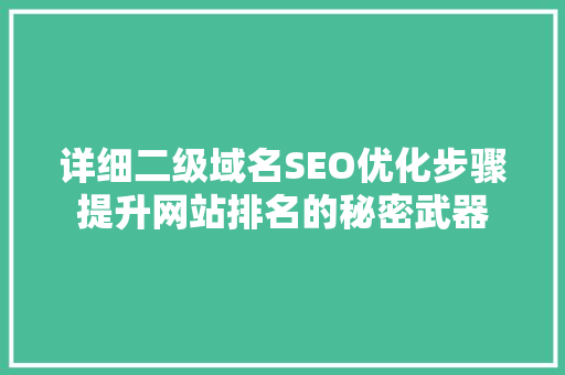 详细二级域名SEO优化步骤提升网站排名的秘密武器