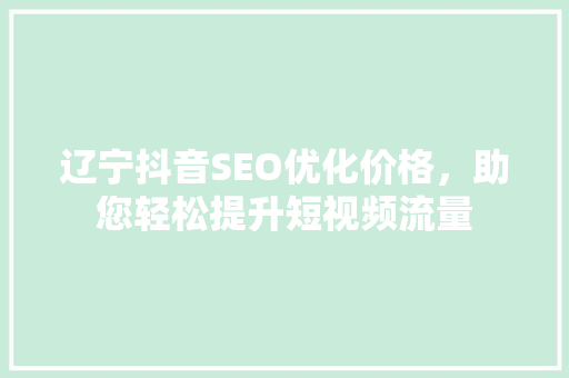 辽宁抖音SEO优化价格，助您轻松提升短视频流量