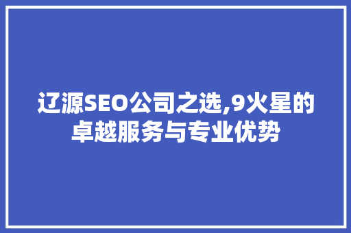 辽源SEO公司之选,9火星的卓越服务与专业优势
