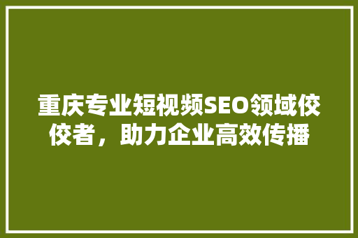 重庆专业短视频SEO领域佼佼者，助力企业高效传播