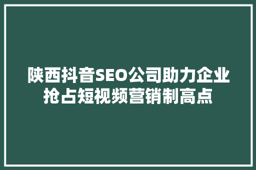 陕西抖音SEO公司助力企业抢占短视频营销制高点