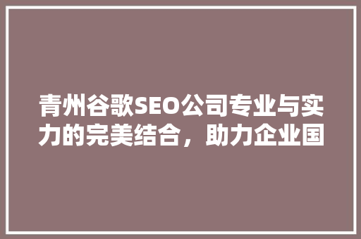 青州谷歌SEO公司专业与实力的完美结合，助力企业国际化发展