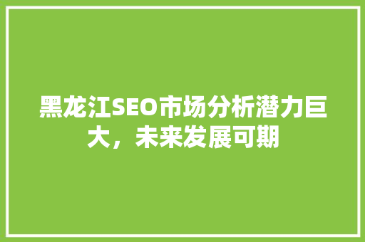 黑龙江SEO市场分析潜力巨大，未来发展可期