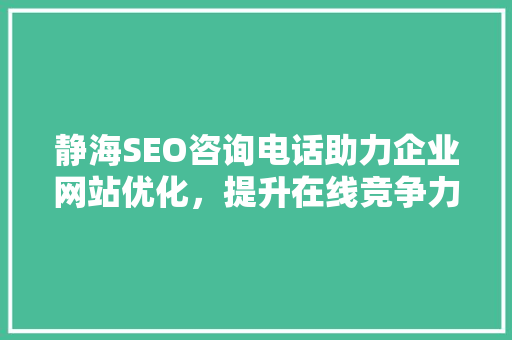 静海SEO咨询电话助力企业网站优化，提升在线竞争力