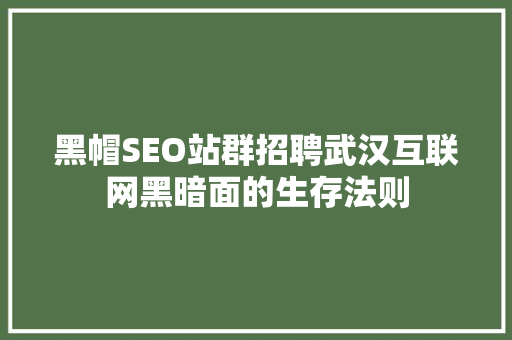 黑帽SEO站群招聘武汉互联网黑暗面的生存法则