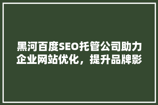 黑河百度SEO托管公司助力企业网站优化，提升品牌影响力