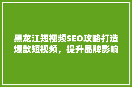 黑龙江短视频SEO攻略打造爆款短视频，提升品牌影响力