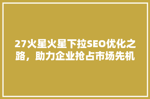 27火星火星下拉SEO优化之路，助力企业抢占市场先机