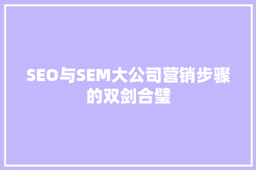 SEO与SEM大公司营销步骤的双剑合璧