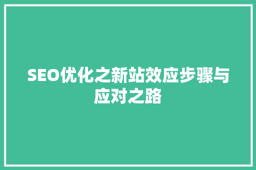 SEO优化之新站效应步骤与应对之路