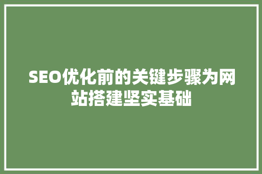 SEO优化前的关键步骤为网站搭建坚实基础