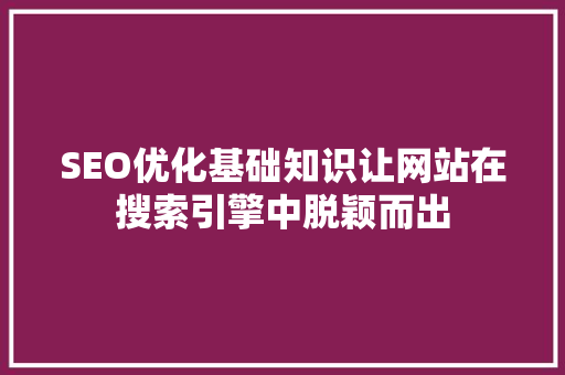 SEO优化基础知识让网站在搜索引擎中脱颖而出
