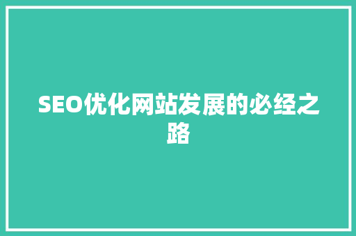 SEO优化网站发展的必经之路