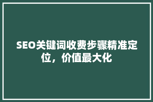 SEO关键词收费步骤精准定位，价值最大化