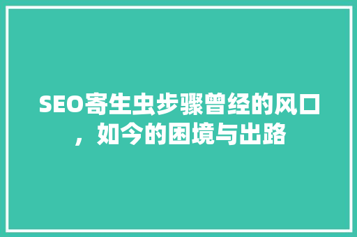 SEO寄生虫步骤曾经的风口，如今的困境与出路