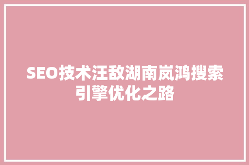 SEO技术汪敌湖南岚鸿搜索引擎优化之路