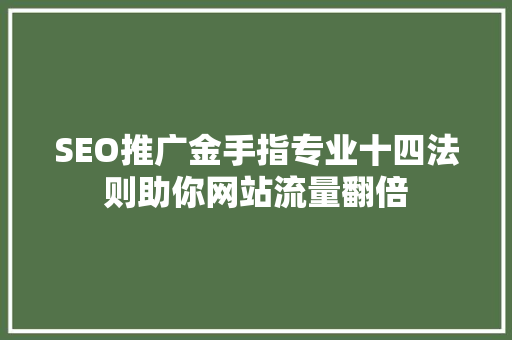 SEO推广金手指专业十四法则助你网站流量翻倍  第1张