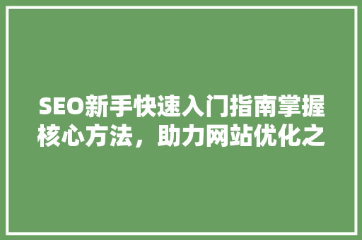 SEO新手快速入门指南掌握核心方法，助力网站优化之路