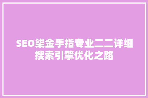 SEO柒金手指专业二二详细搜索引擎优化之路