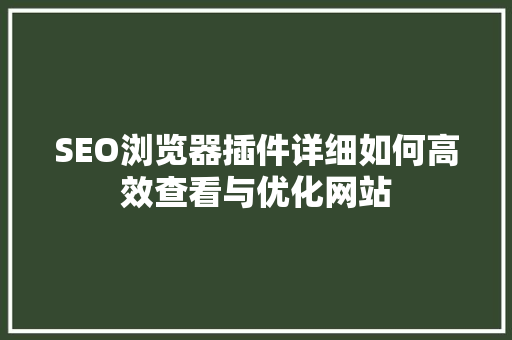 SEO浏览器插件详细如何高效查看与优化网站