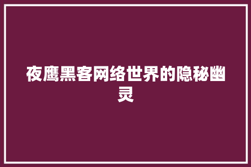 夜鹰黑客网络世界的隐秘幽灵